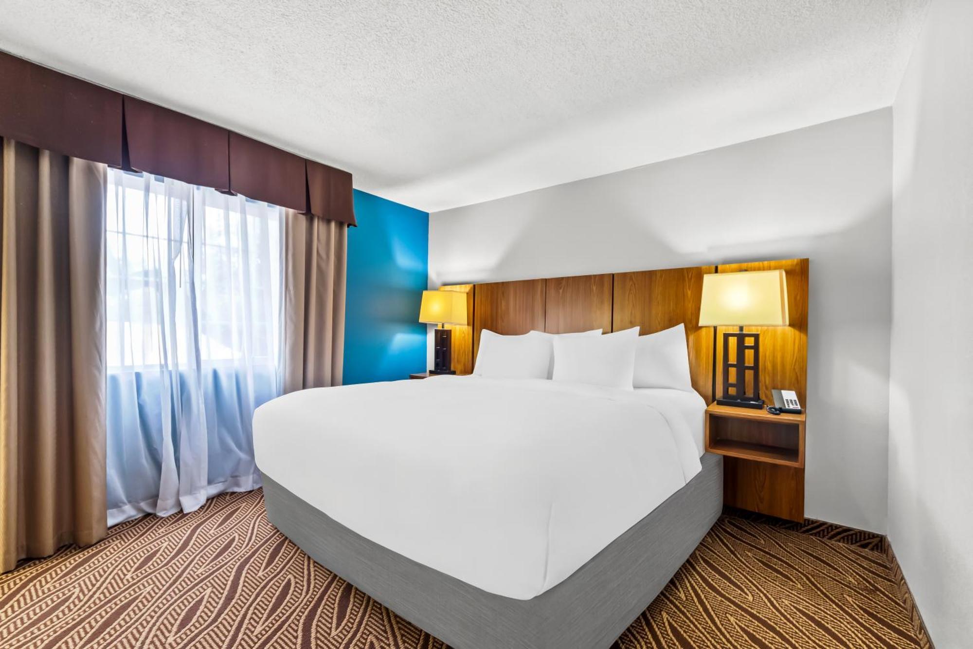Quality Inn & Suites Airport North - Stone Oak San Antonio Exteriör bild